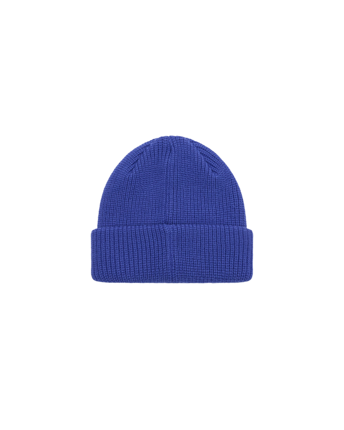 FUTURE BEANIE - alternate view