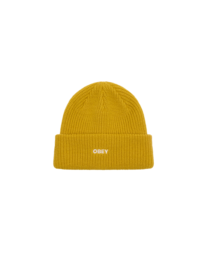 FUTURE BEANIE