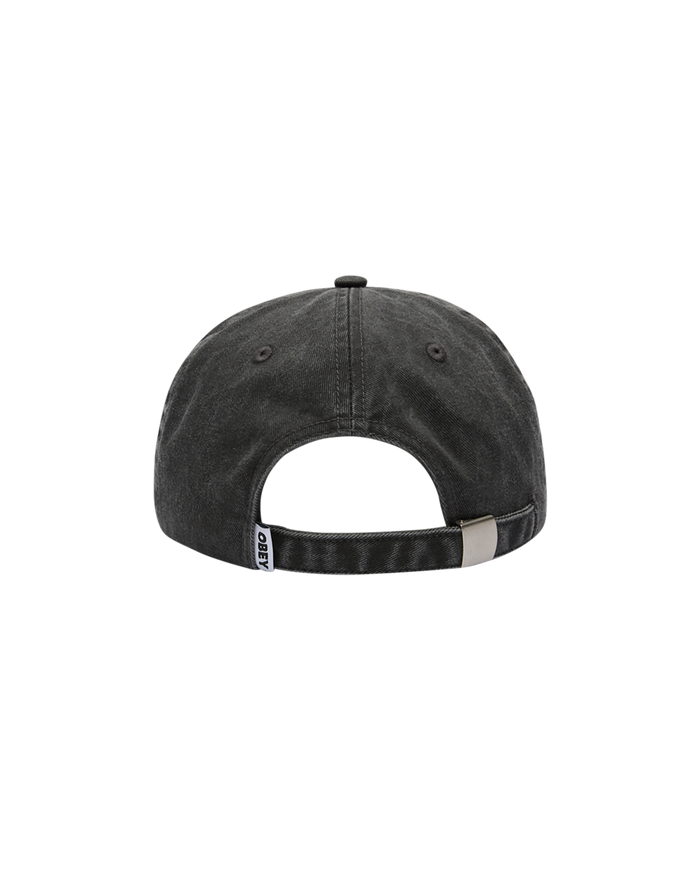 HOPE PIGMENT STRAPBACK - alternate view