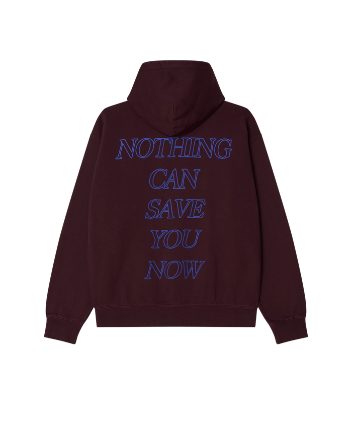 BAD SEEDS FADED PULLOVER - alternate view