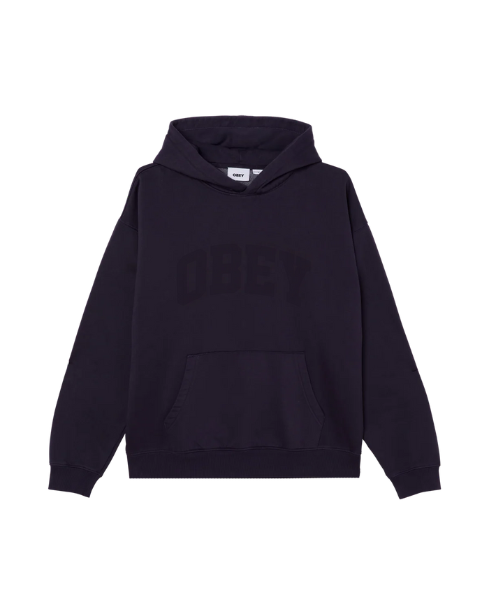 COLLEGIATE PIGMENT PULLOVER