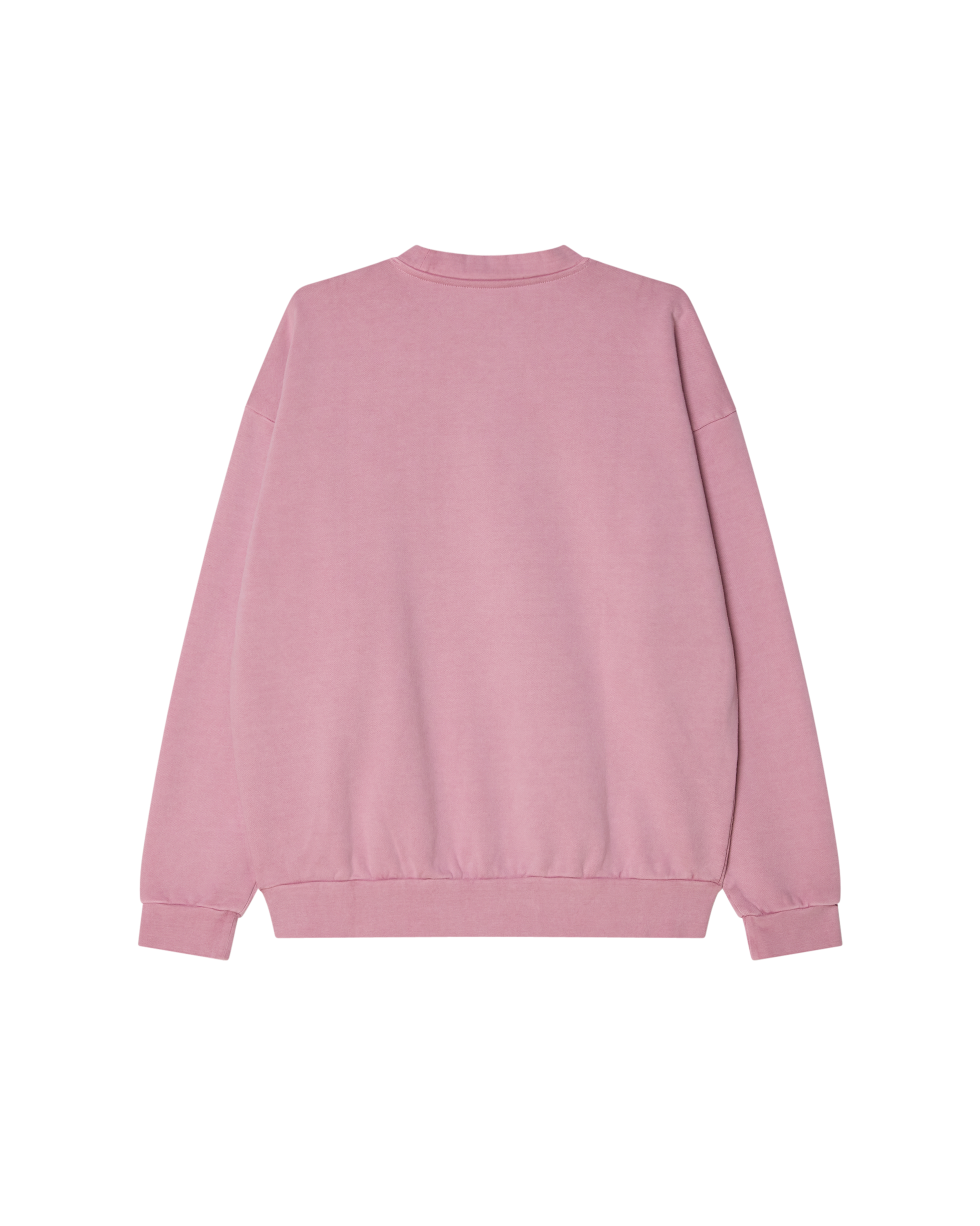 LOWERCASE PIGMENT CREWNECK (zoomed)