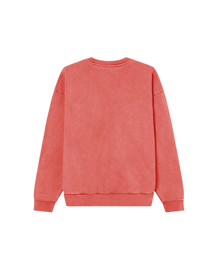 obey lowercase pigment crewneck pigment mineral red - alternate view