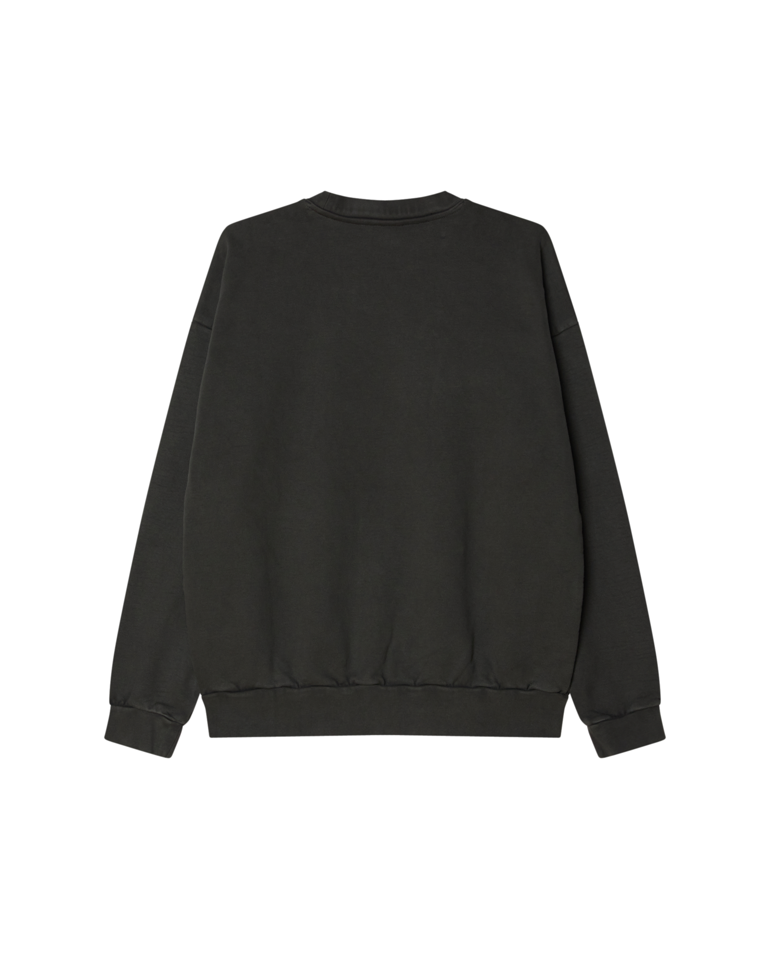 LOWERCASE PIGMENT CREWNECK (zoomed)