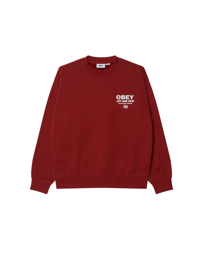 JOY FADED CREWNECK - alternate view