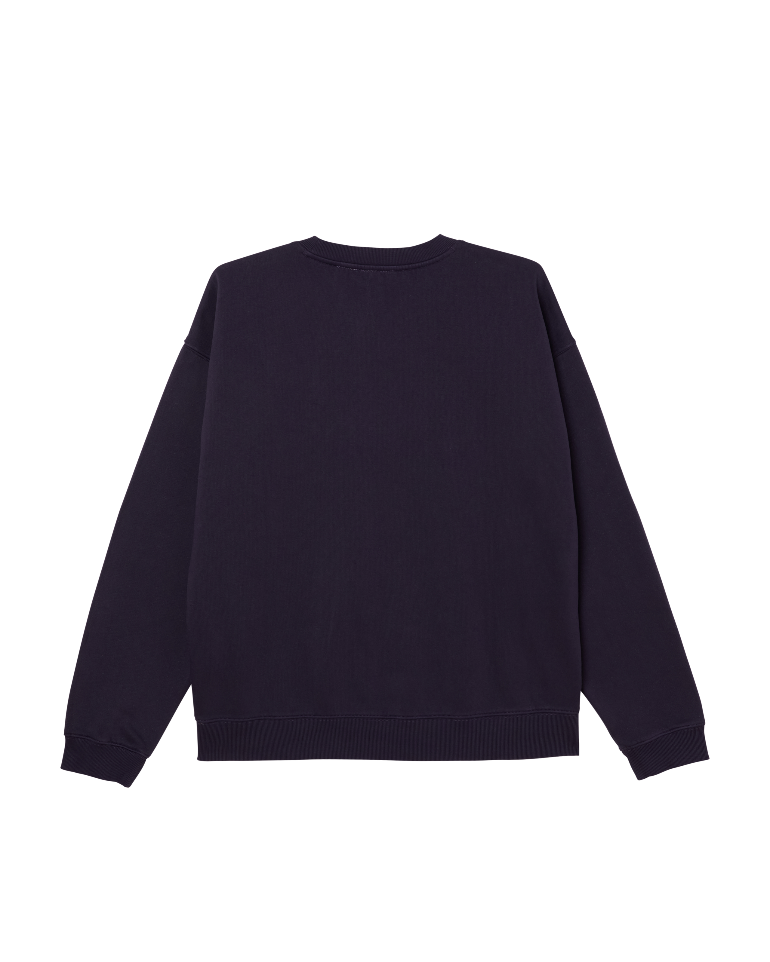 COLLEGIATE PIGMENT CREWNECK (zoomed)