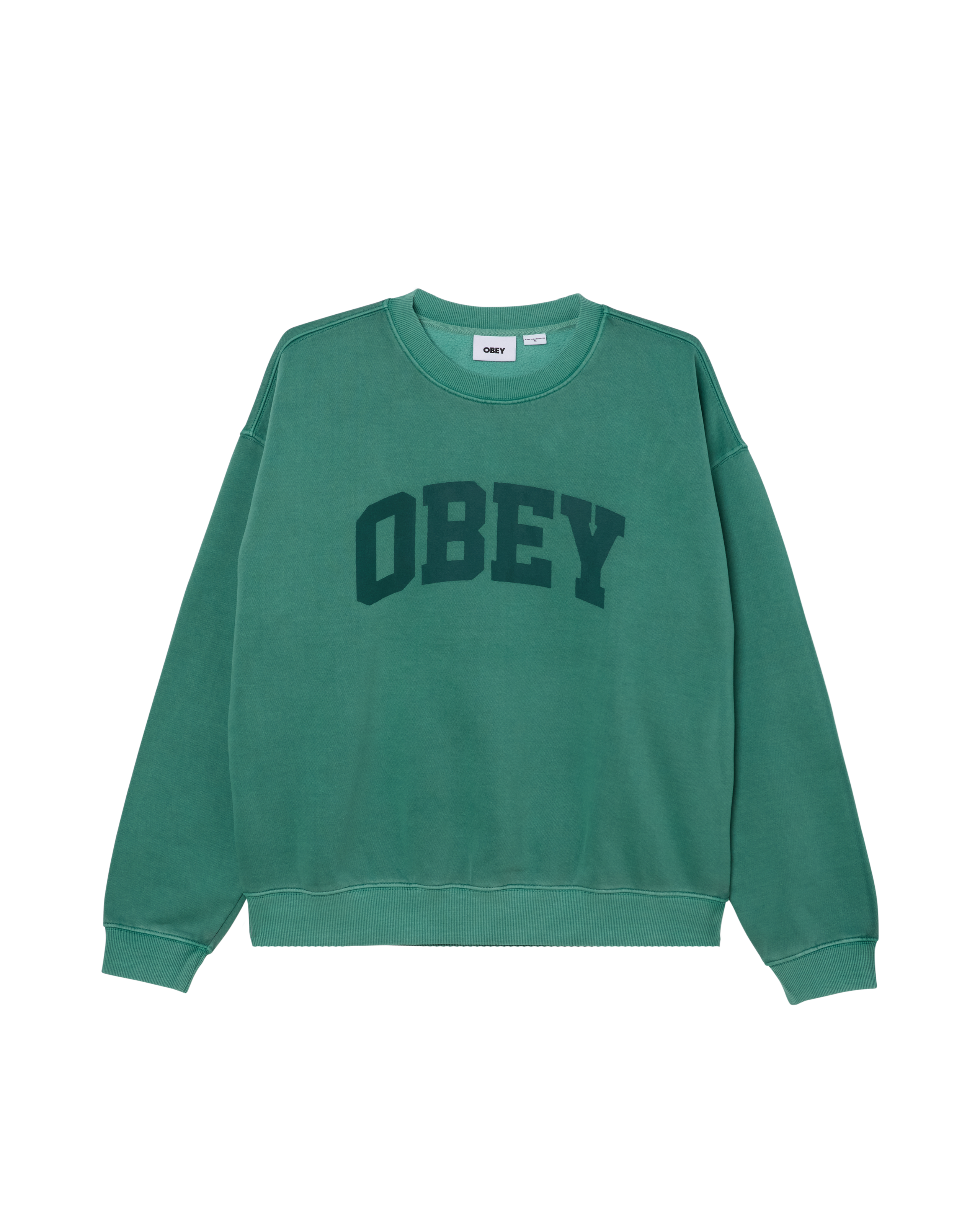 COLLEGIATE PIGMENT CREWNECK (zoomed)