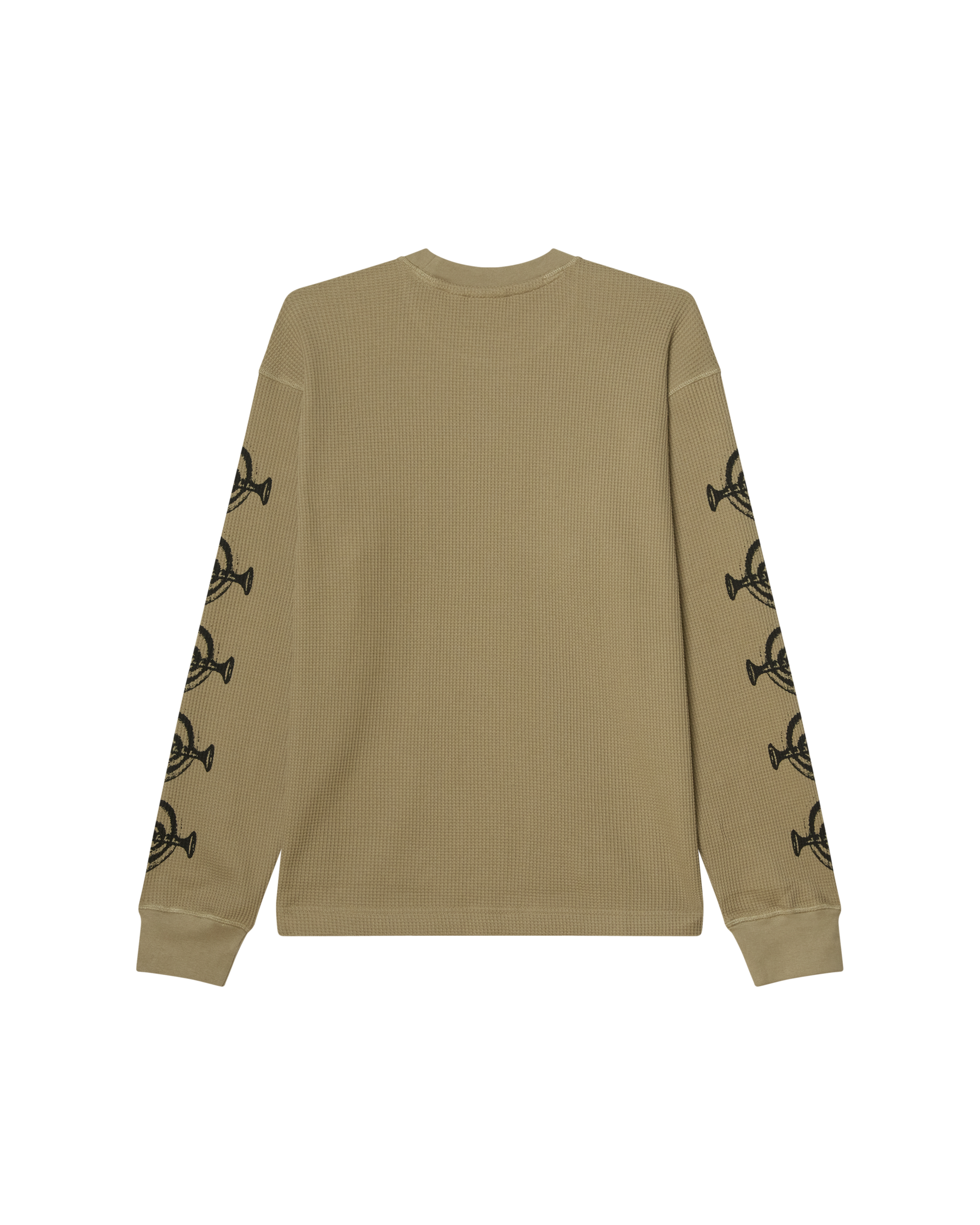 EARS LS THERMAL (zoomed)