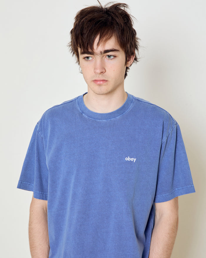 LOWERCASE PIGMENT T-SHIRT - alternate view