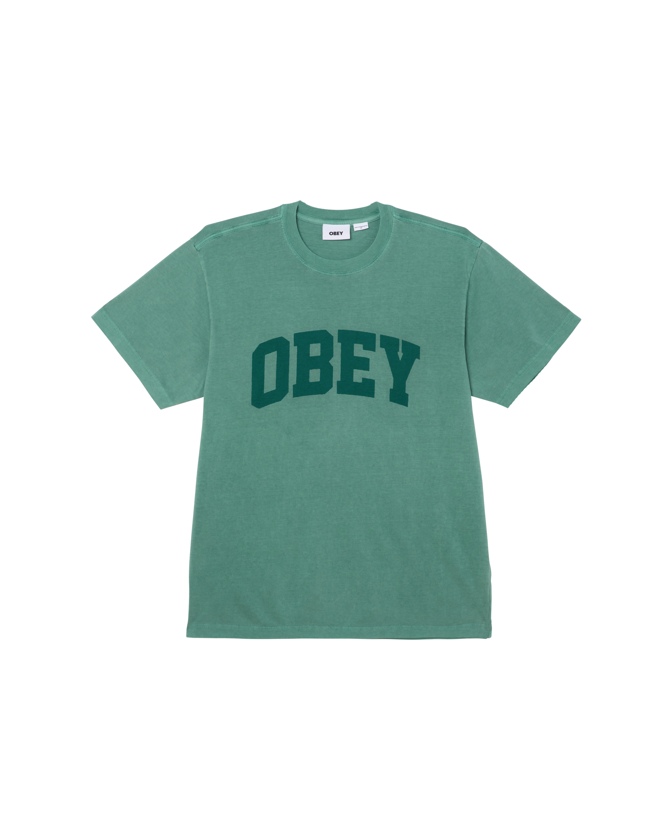 COLLEGIATE PIGMENT T-SHIRT (zoomed)