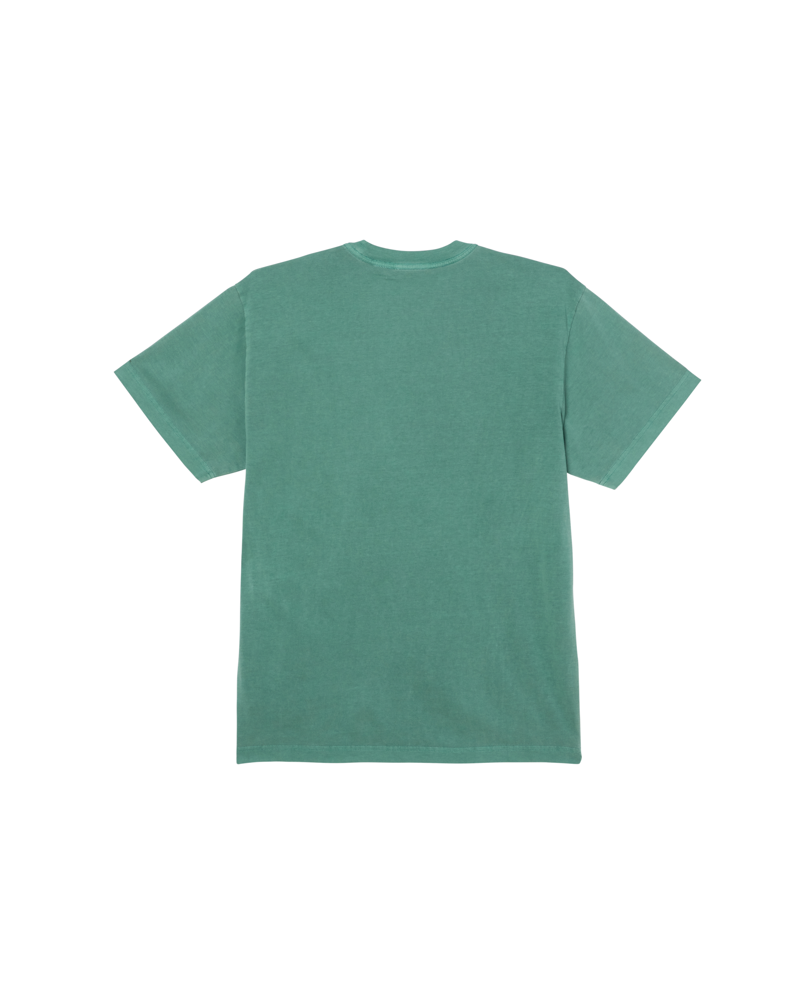 COLLEGIATE PIGMENT T-SHIRT (zoomed)