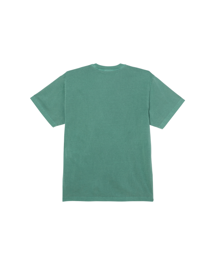 COLLEGIATE PIGMENT T-SHIRT - alternate view