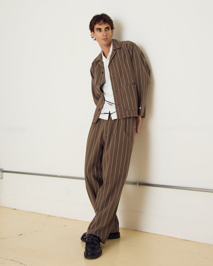 FOSTER PLEATED STRIPE PANT - alternate view