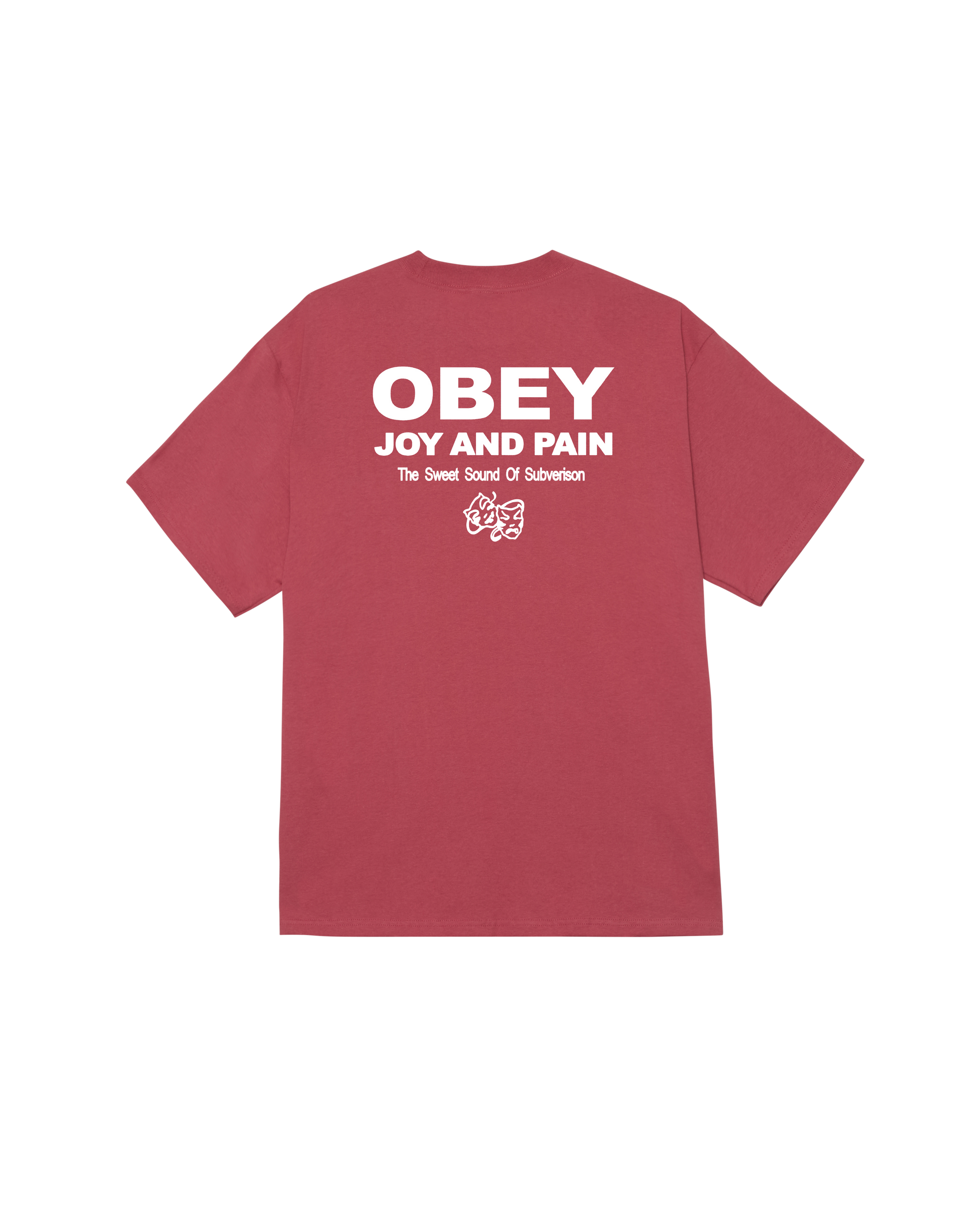 JOY & PAIN CLASSIC T-SHIRT (zoomed)
