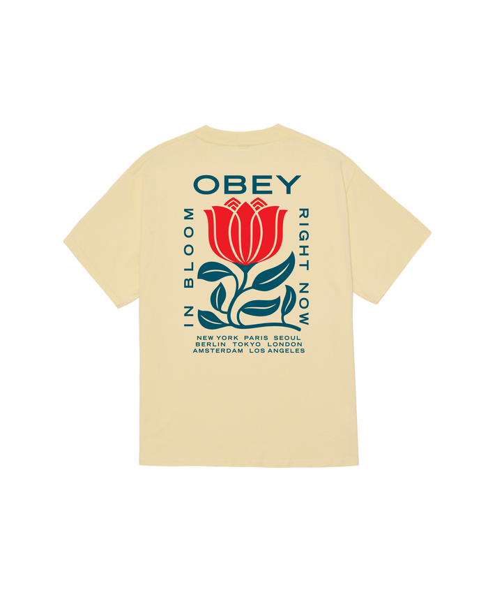 obey-in-bloom-classic-t-shirt-pale-yellow
