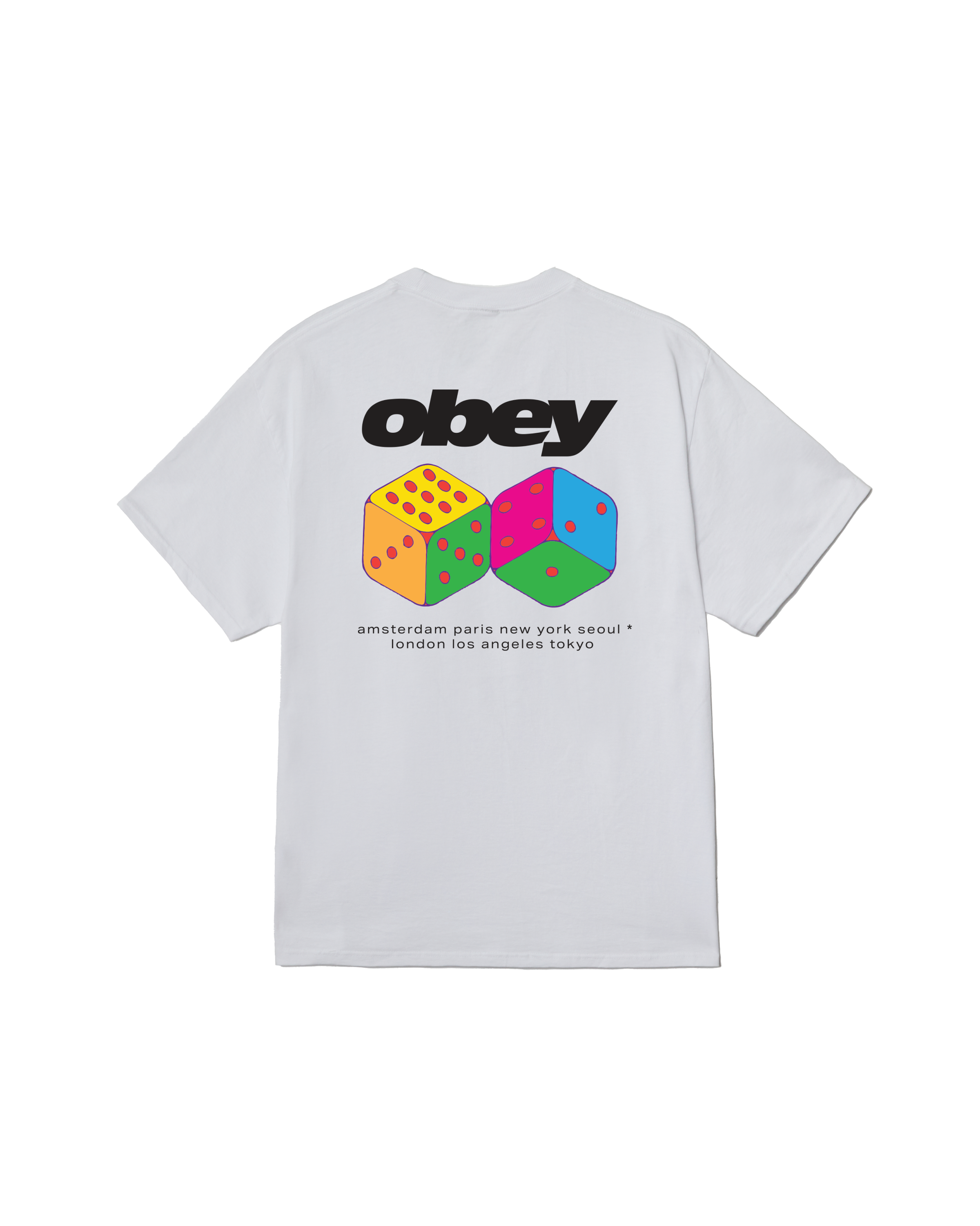 DICE CLASSIC T-SHIRT (zoomed)