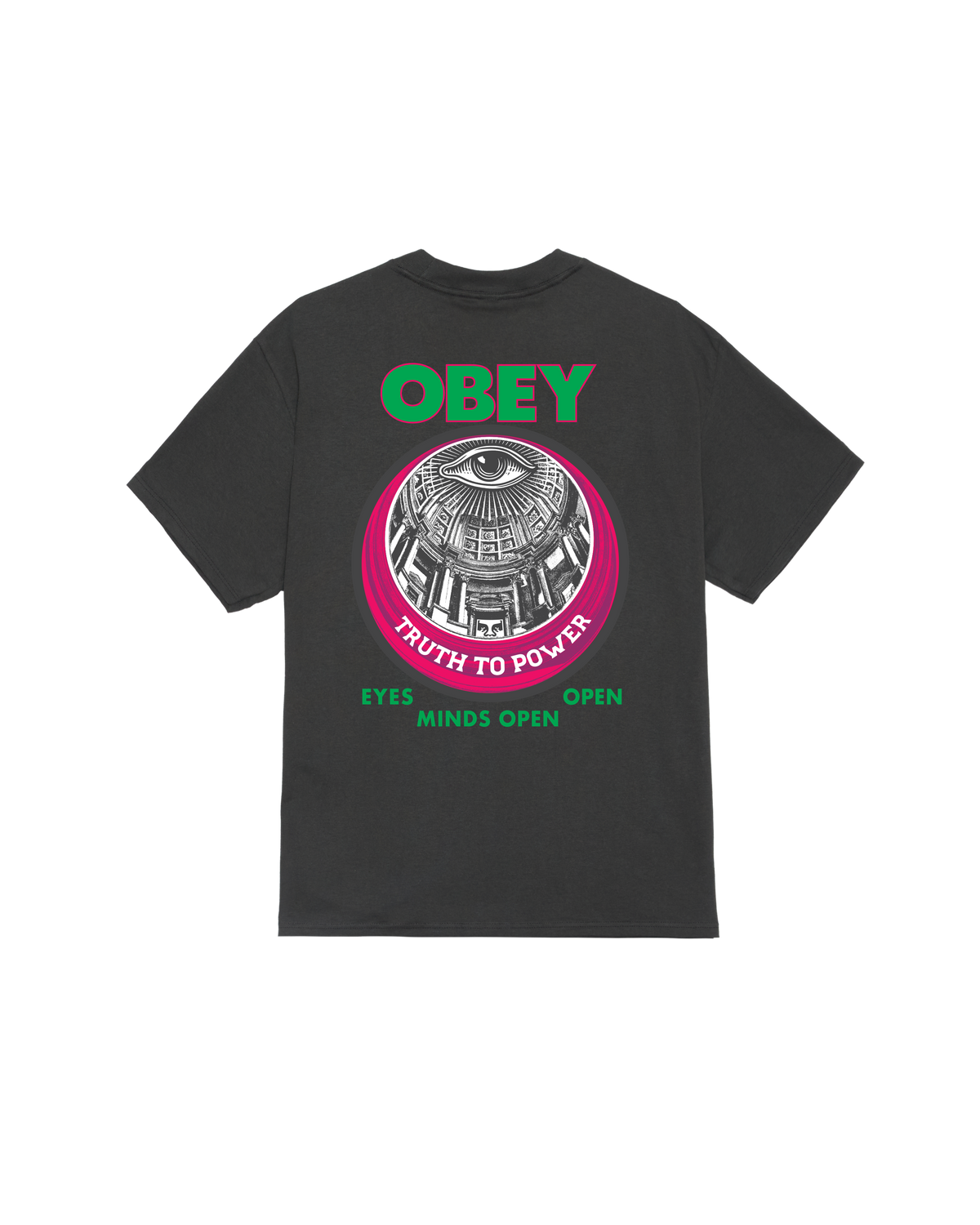 TRUTH TO POWER CLASSIC T-SHIRT