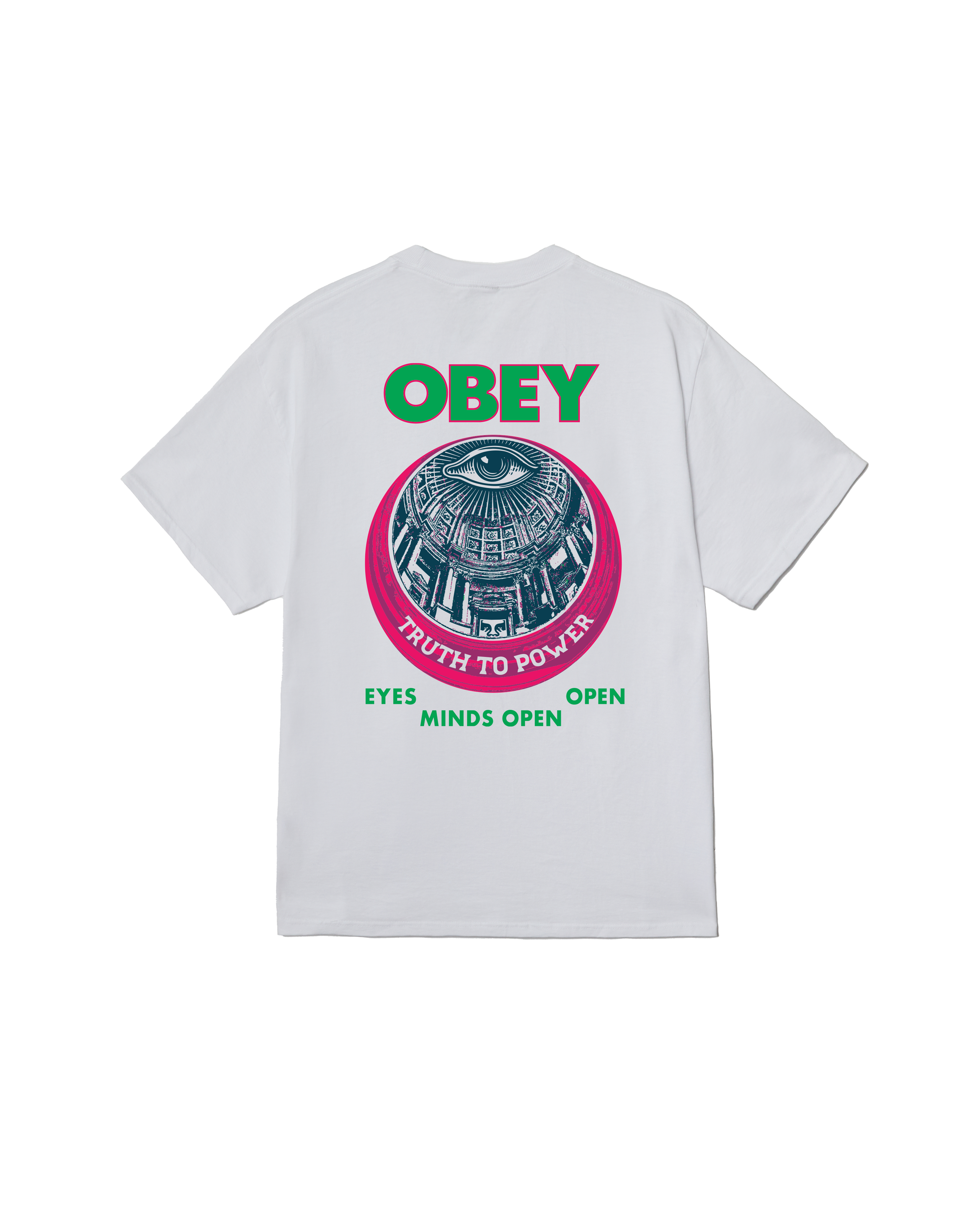 TRUTH TO POWER CLASSIC T-SHIRT (zoomed)