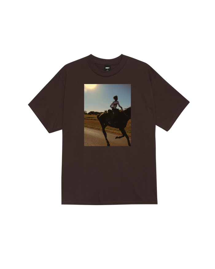 obey-trail-ride-classic-t-shirt-java-brown