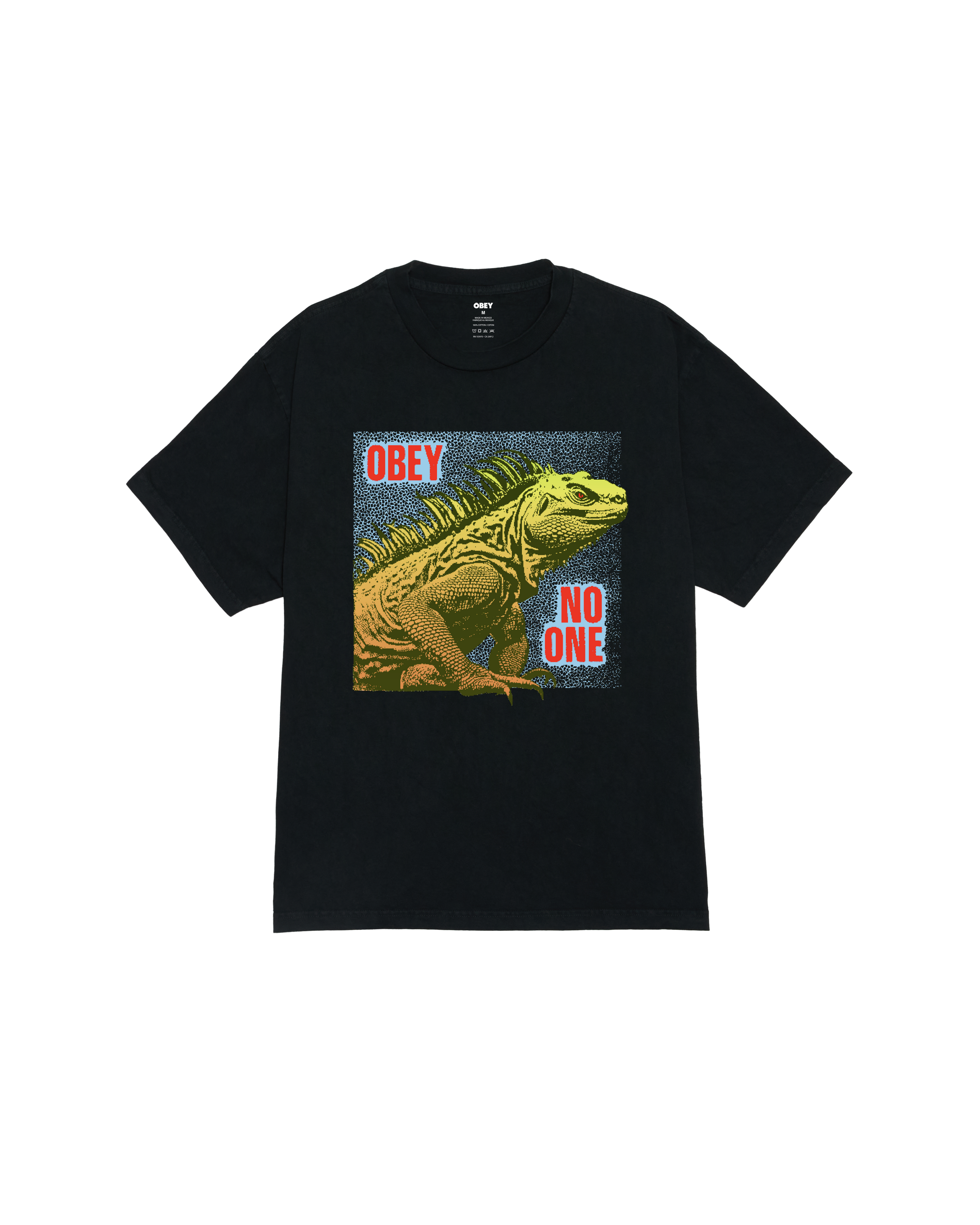 NO ONE REPTILE PIGMENT BOX T-SHIRT (zoomed)