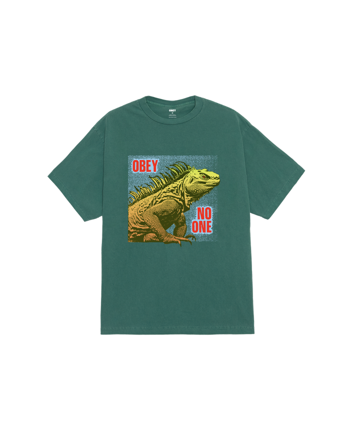 NO ONE REPTILE PIGMENT BOX T-SHIRT