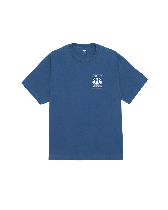 PRECISION PIGMENT T-SHIRT - alternate view