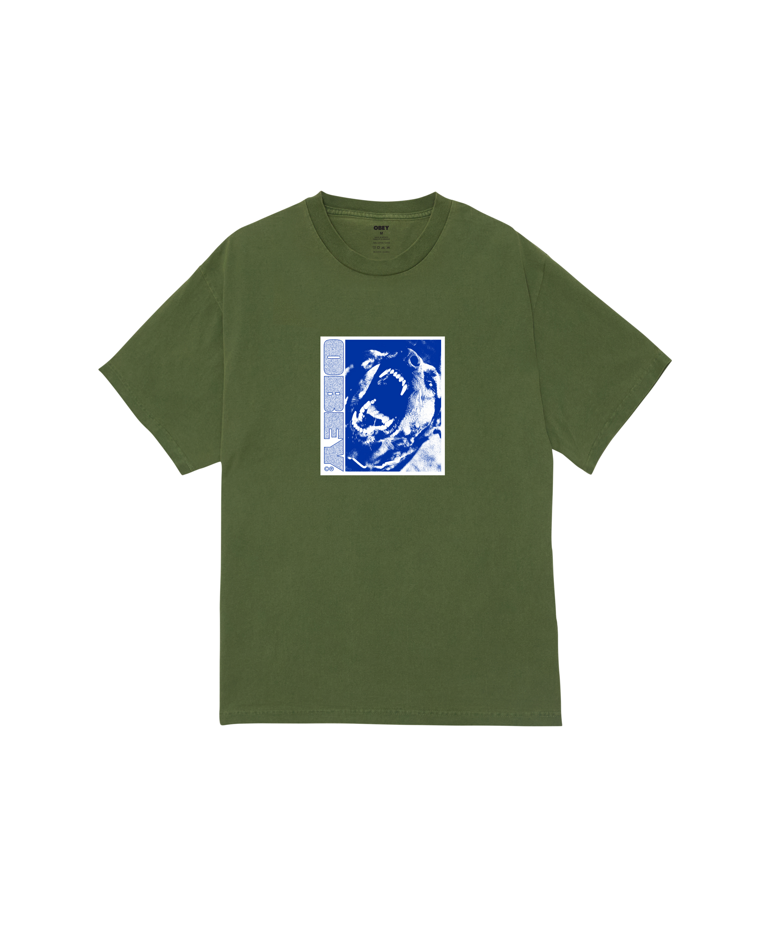 STAY BACK PIGMENT T-SHIRT (zoomed)