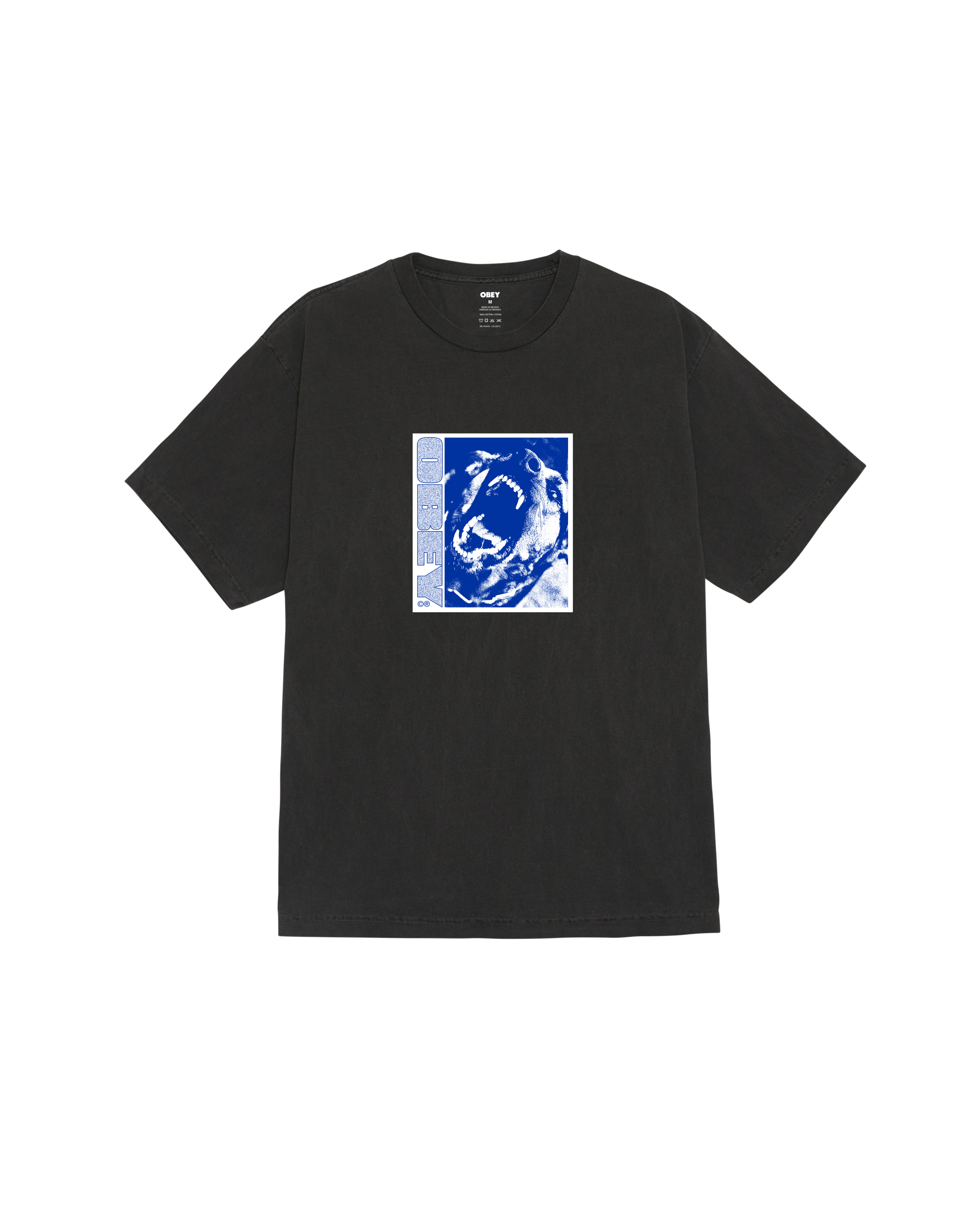 STAY BACK PIGMENT T-SHIRT (zoomed)