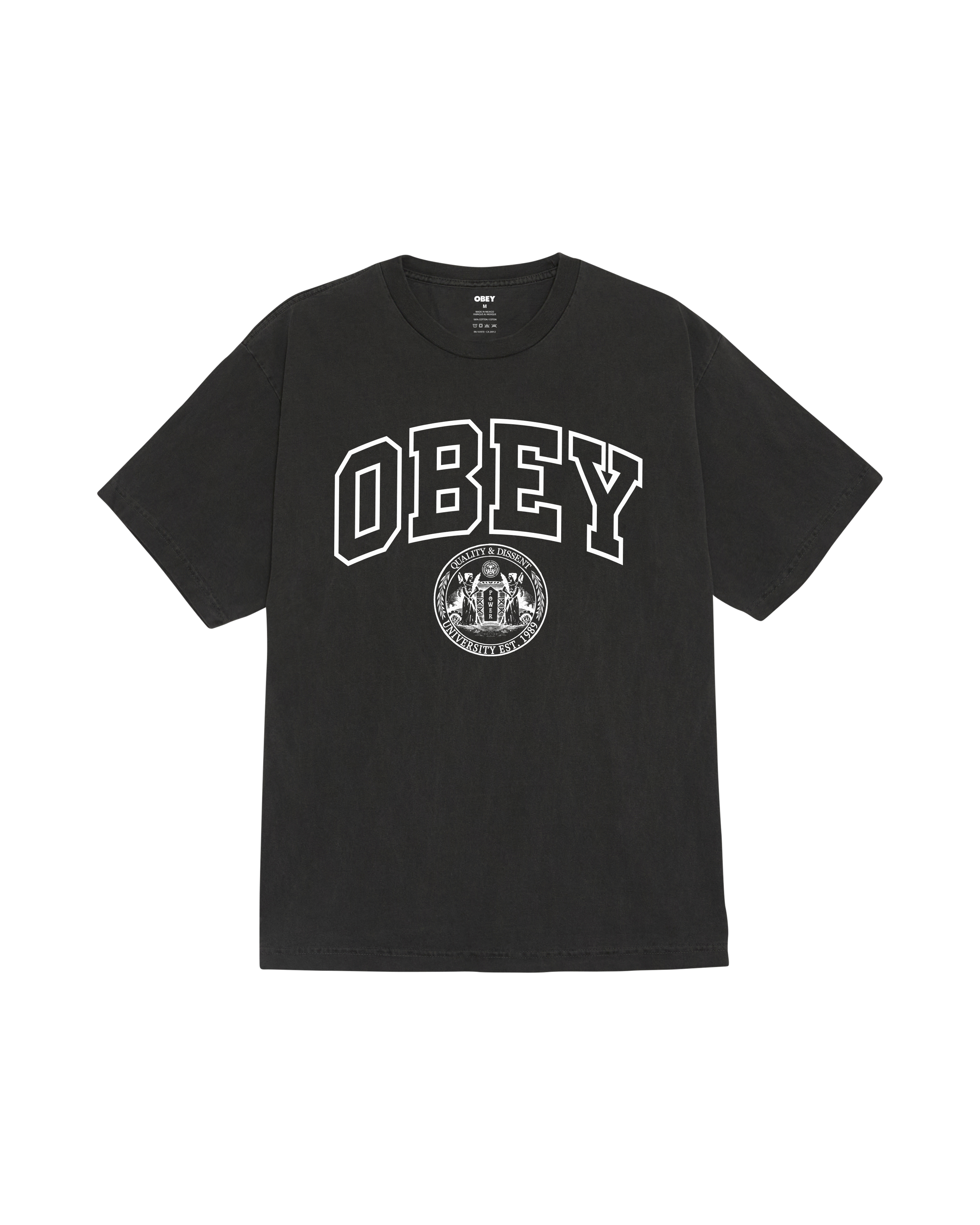 UNIVERSITY PIGMENT T-SHIRT (zoomed)