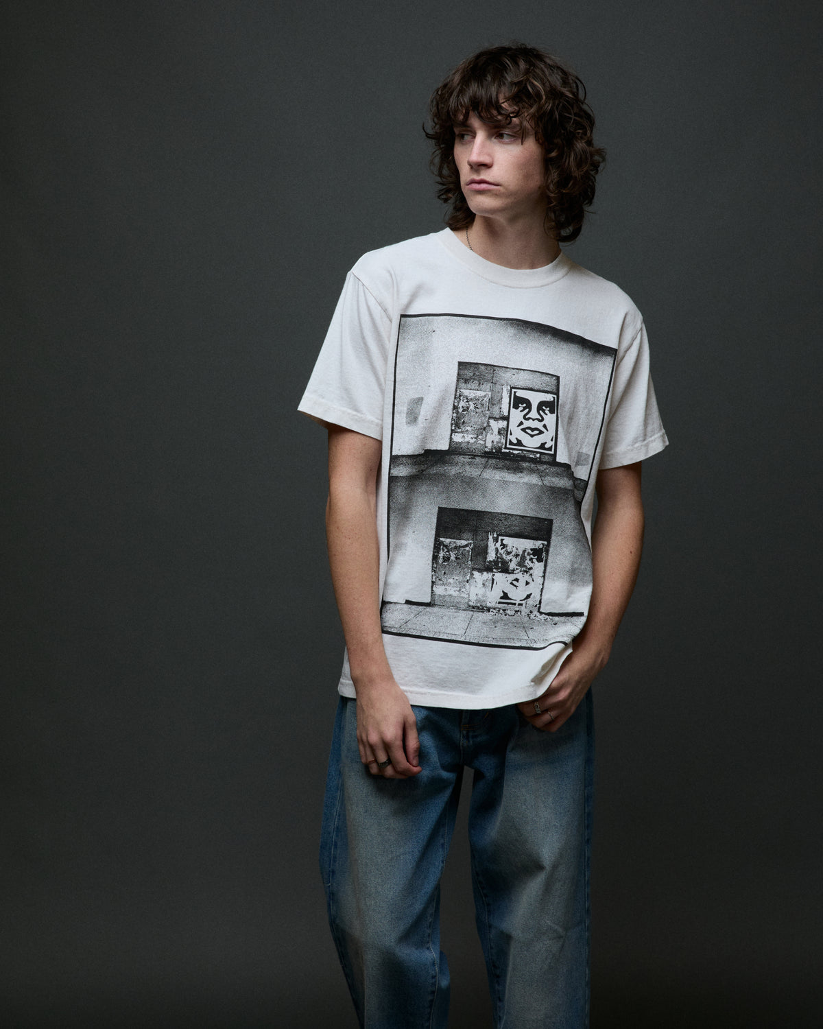 obey-destroyed-icon-photo-pigment-t-shirt-pigment-chalk-white