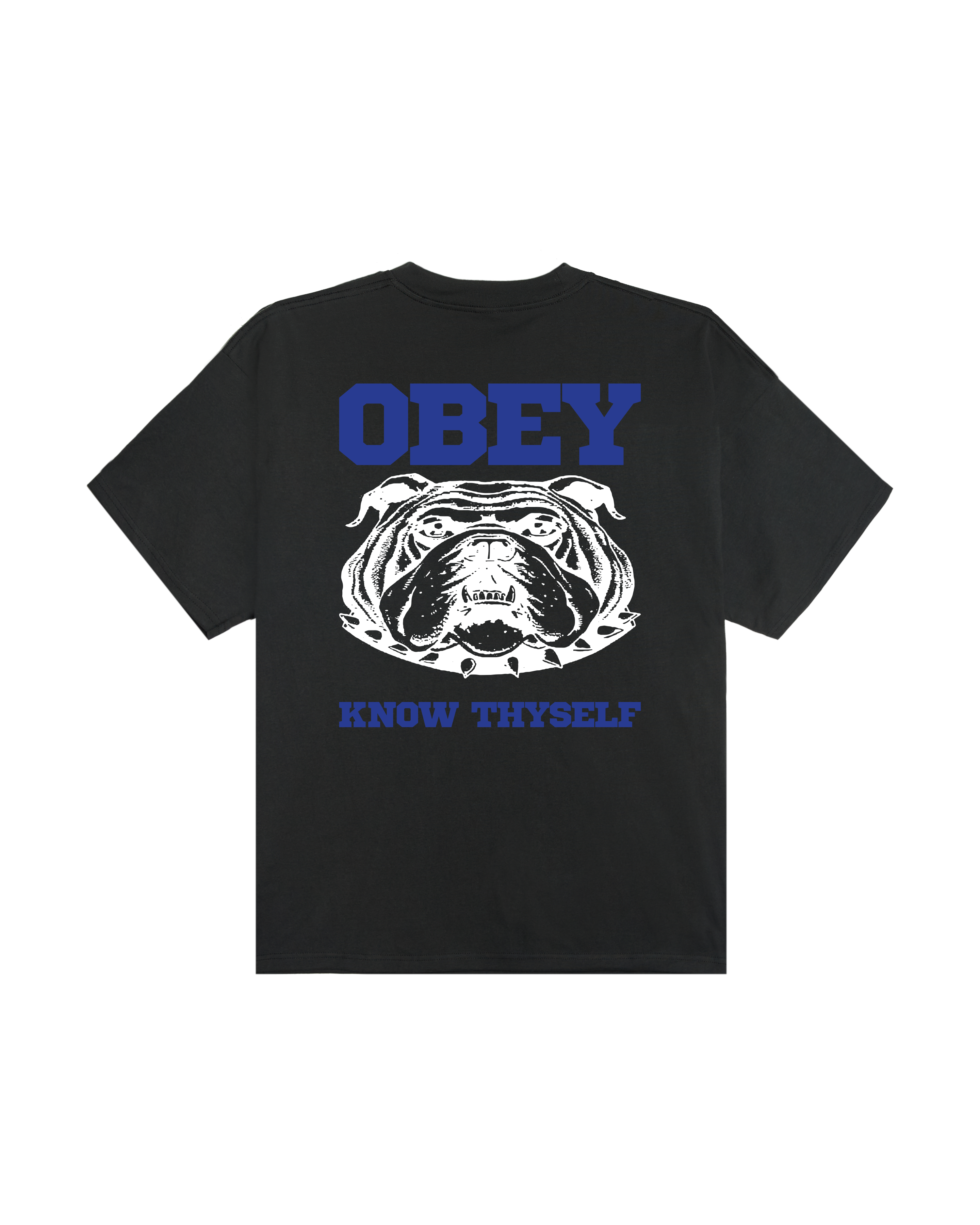 KNOW THYSELF HEAVYWEIGHT T-SHIRT – OBEY CLOTHING