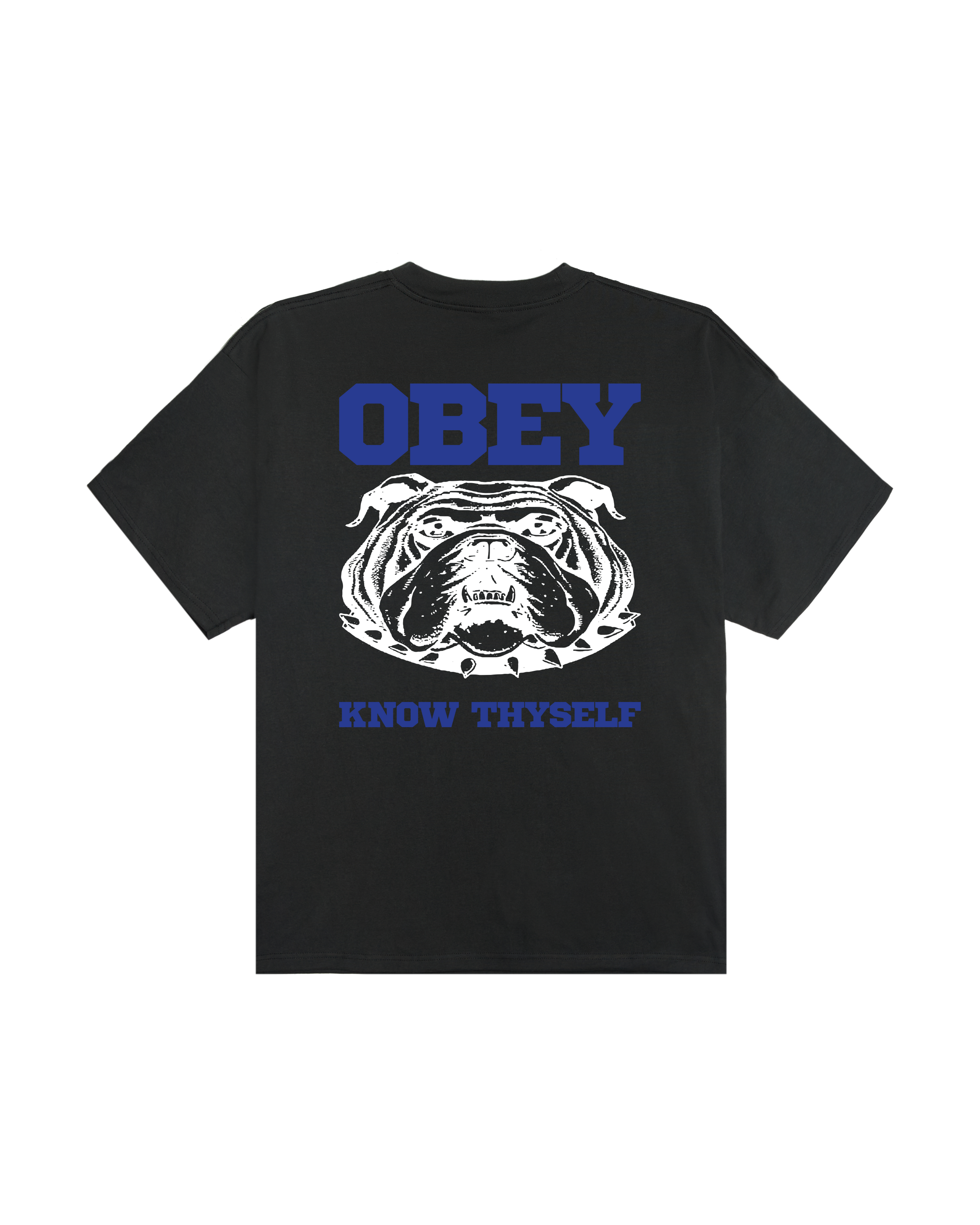 KNOW THYSELF HEAVYWEIGHT T-SHIRT (zoomed)