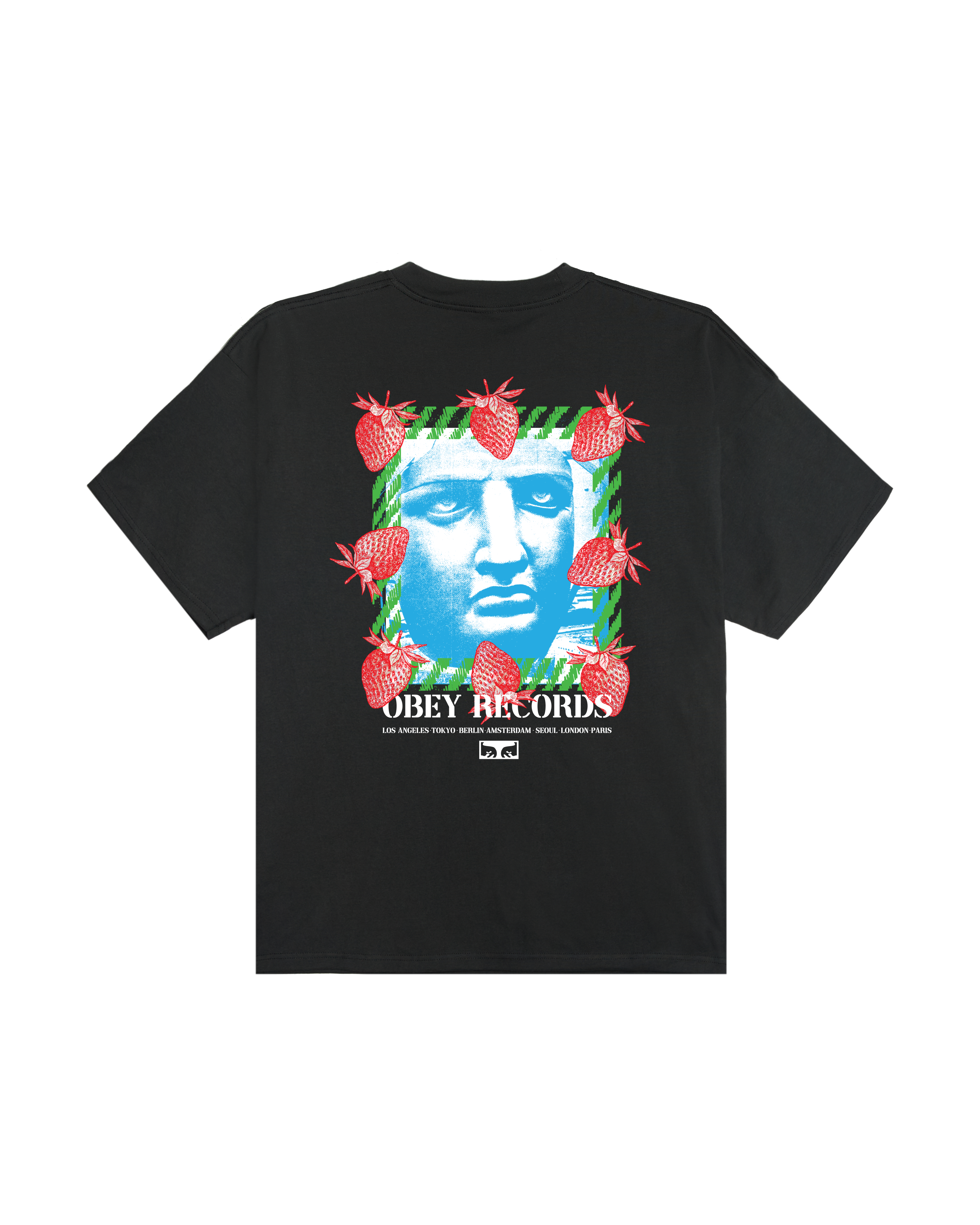 GARDEN HEAVYWEIGHT T-SHIRT – OBEY CLOTHING