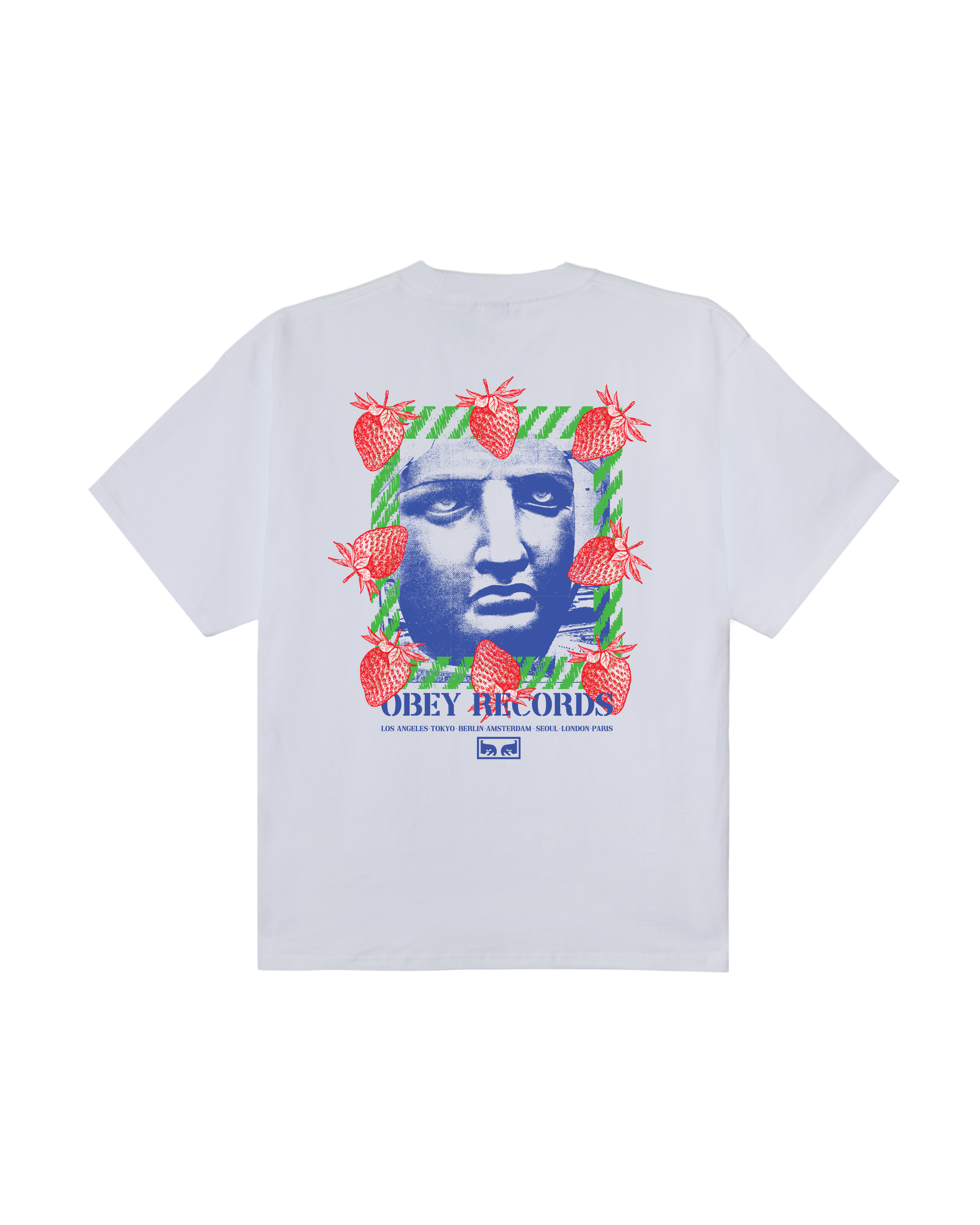 GARDEN HEAVYWEIGHT T-SHIRT – OBEY CLOTHING