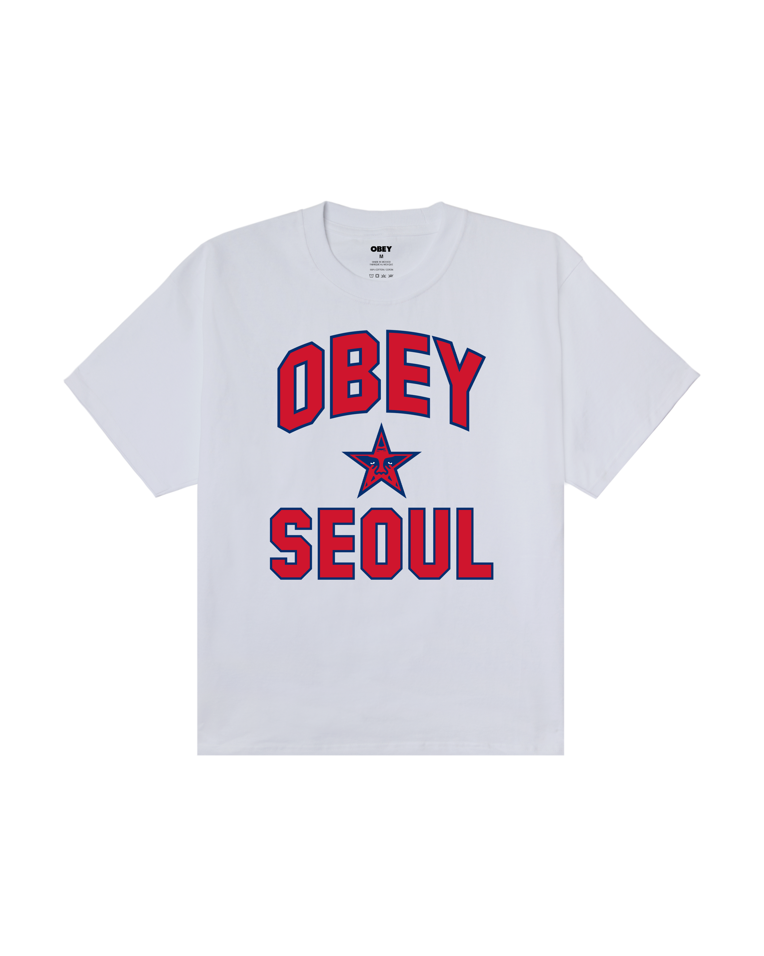 SEOUL CITY STAR HEAVYWEIGHT T-SHIRT (zoomed)