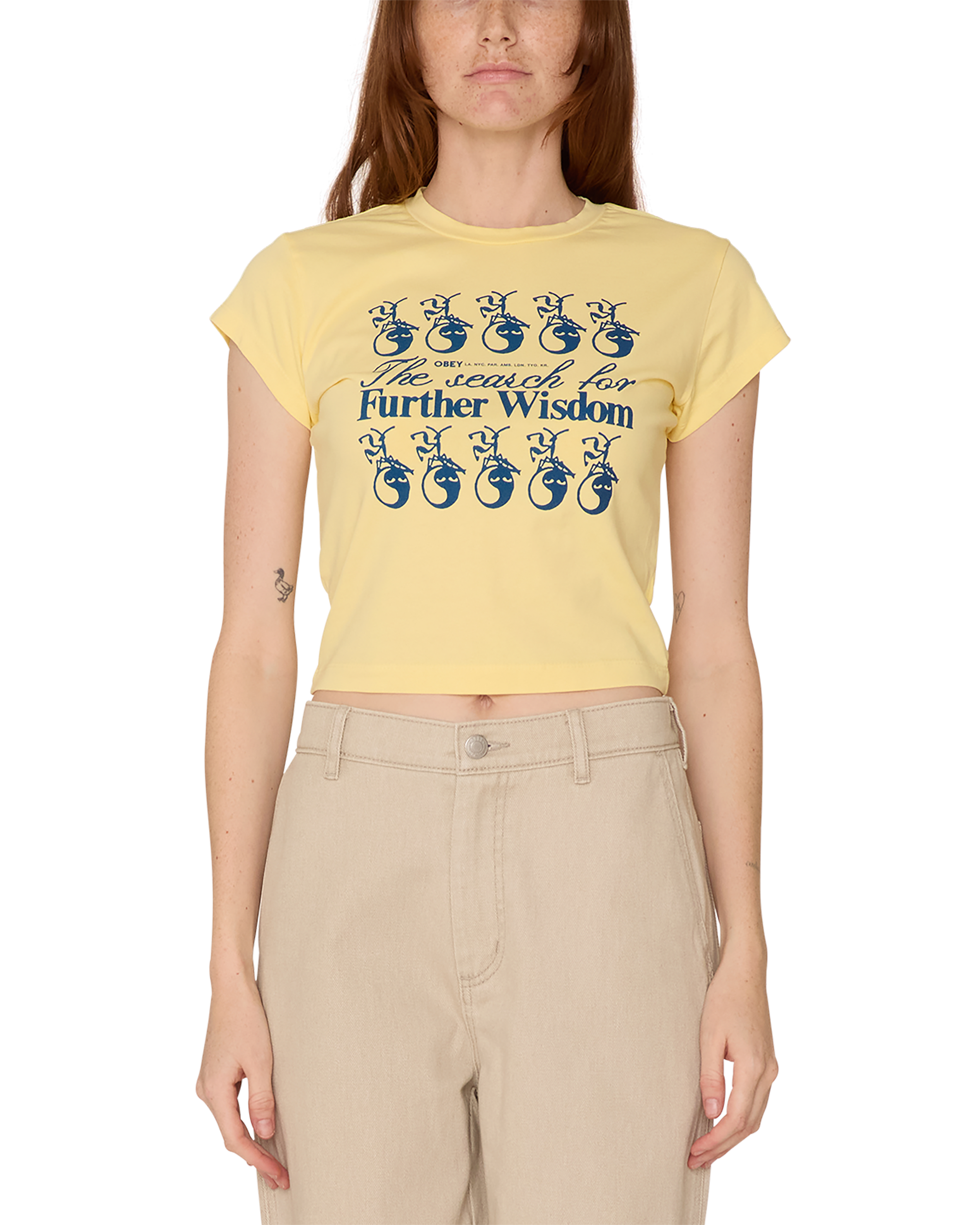 THE SEARCH FOR FURTHER WISDOM HAYDEN T-SHIRT (zoomed)