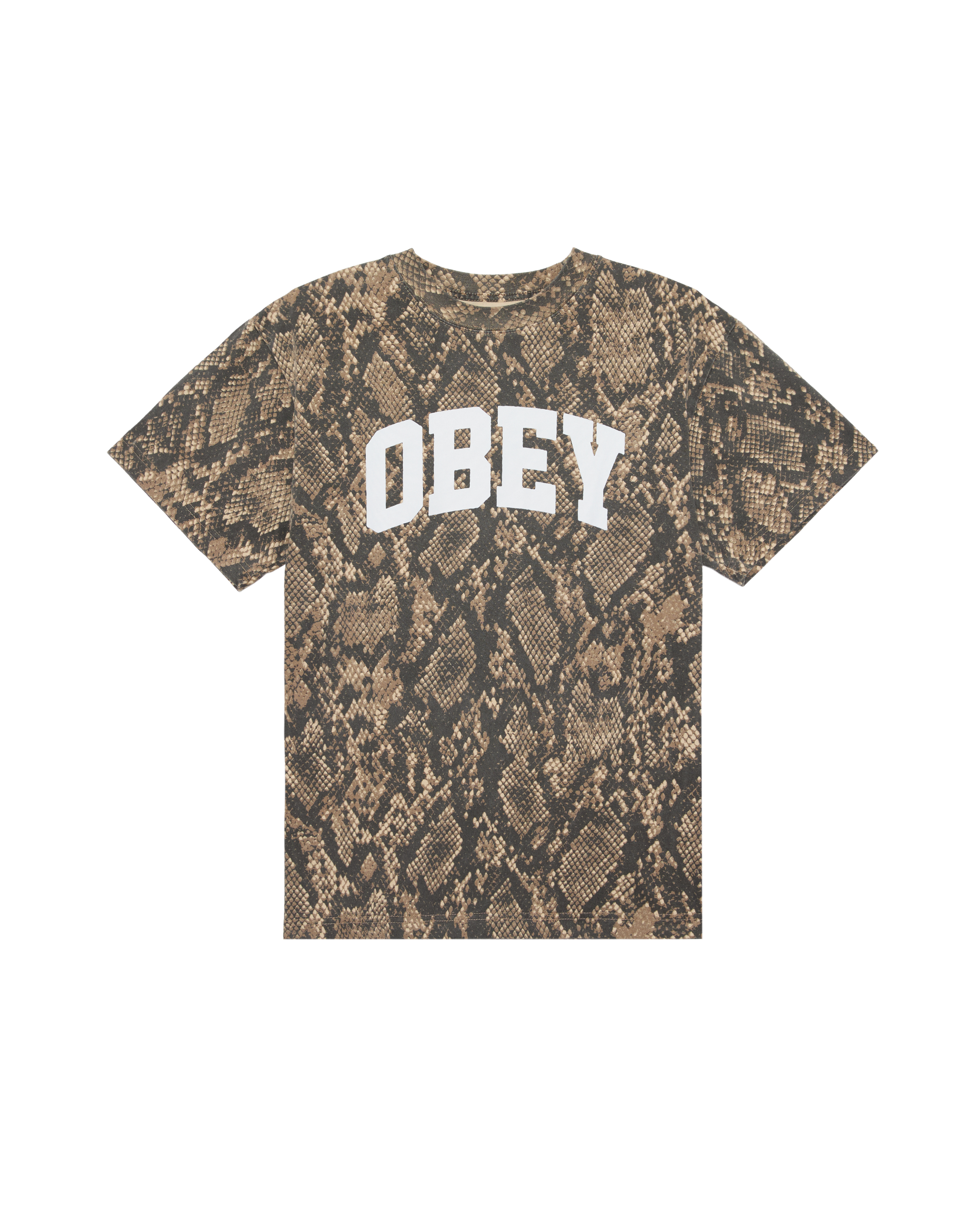 COLLEGIATE HEAVYWEIGHT T-SHIRT (zoomed)