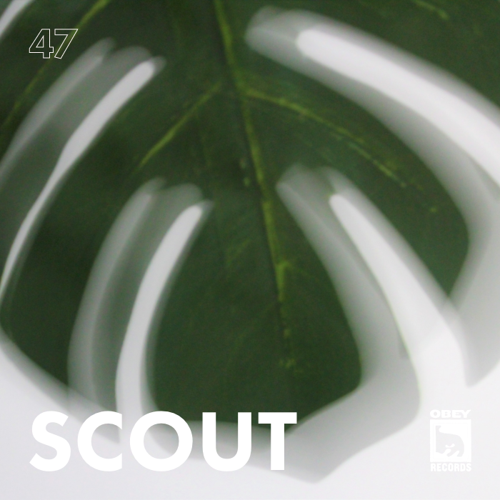 Scout