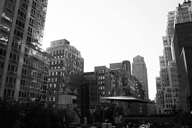 Wandering in N.Y. [1]