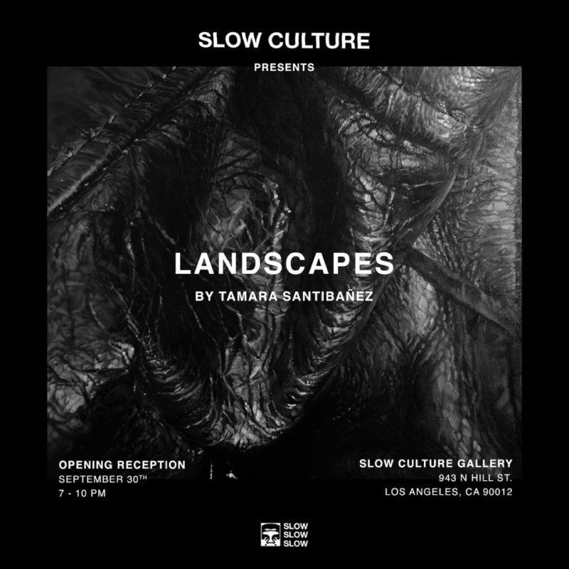 Landscapes by Tamara Santibañez at Slow Culture