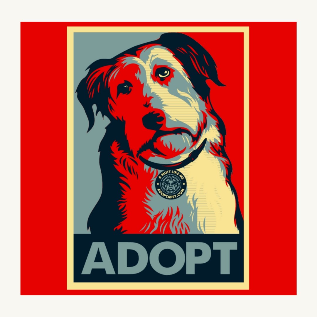 adoptapet.com x obey awareness