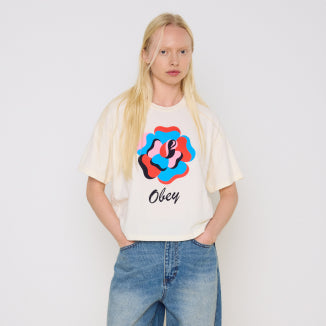 shepard fairey collection