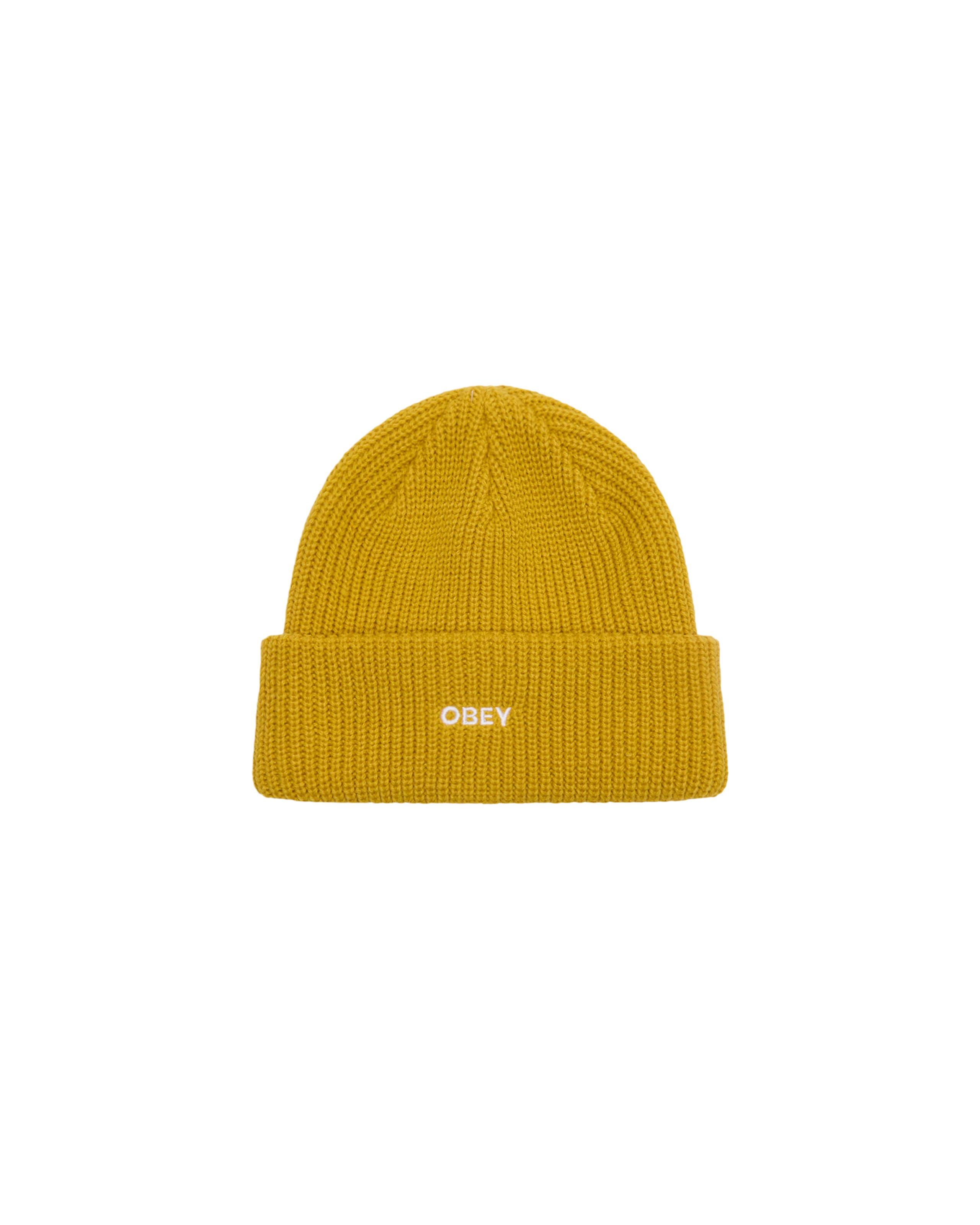 FUTURE BEANIE (zoomed)