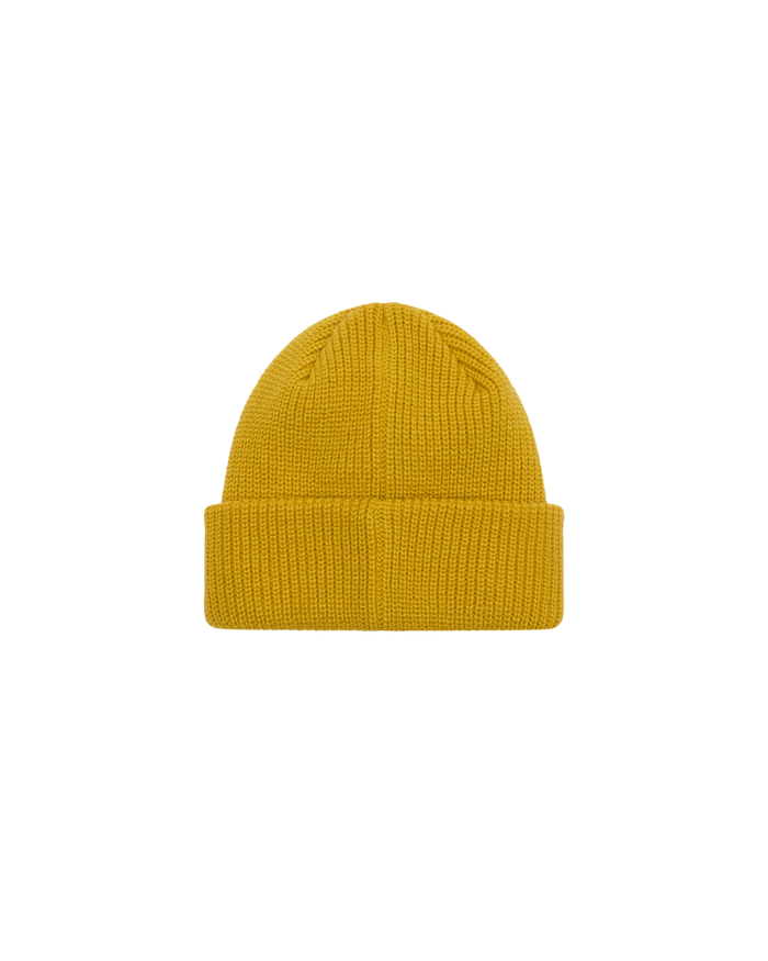 FUTURE BEANIE - alternate view
