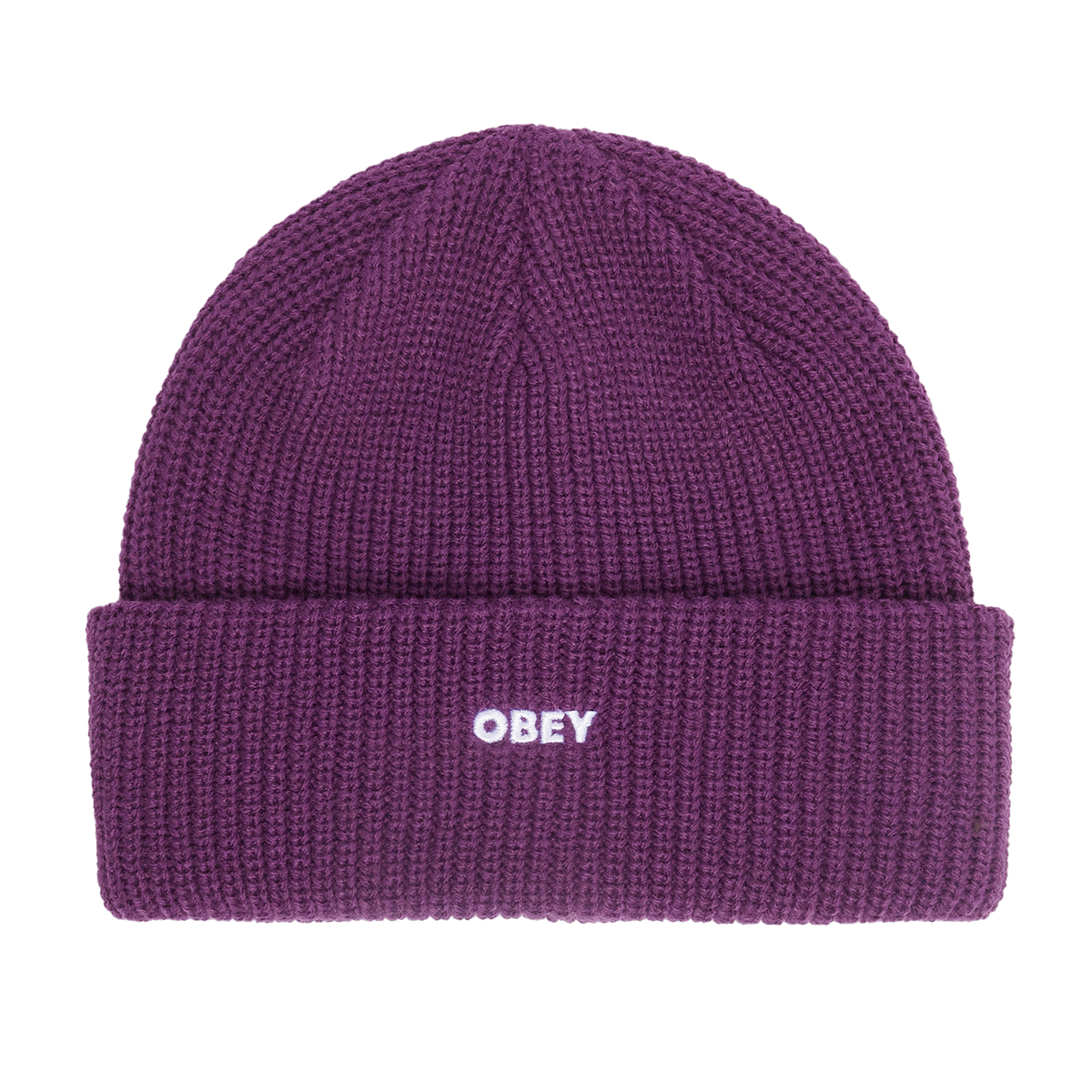FUTURE BEANIE WINEBERRY