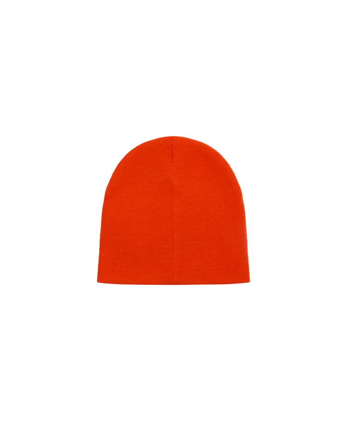 BOLD KING BEANIE - alternate view