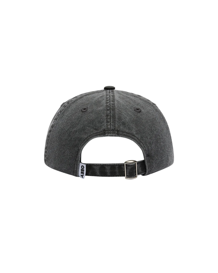 BRAIN CONTROLLER 6 PANEL - alternate view