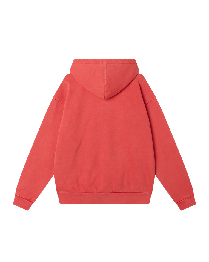 LOWERCASE PIGMENT ZIP HOOD - alternate view