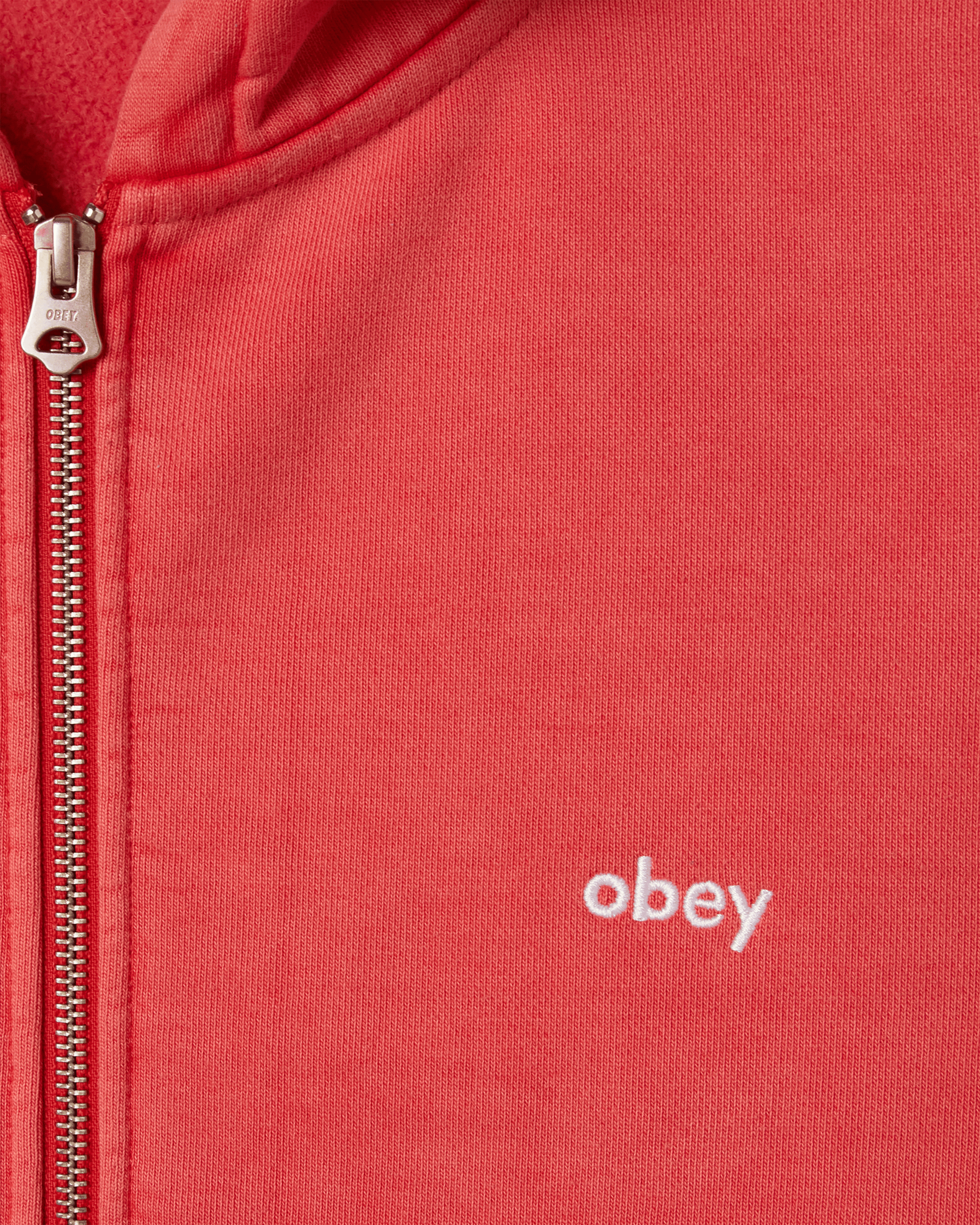 LOWERCASE PIGMENT ZIP HOOD (zoomed)