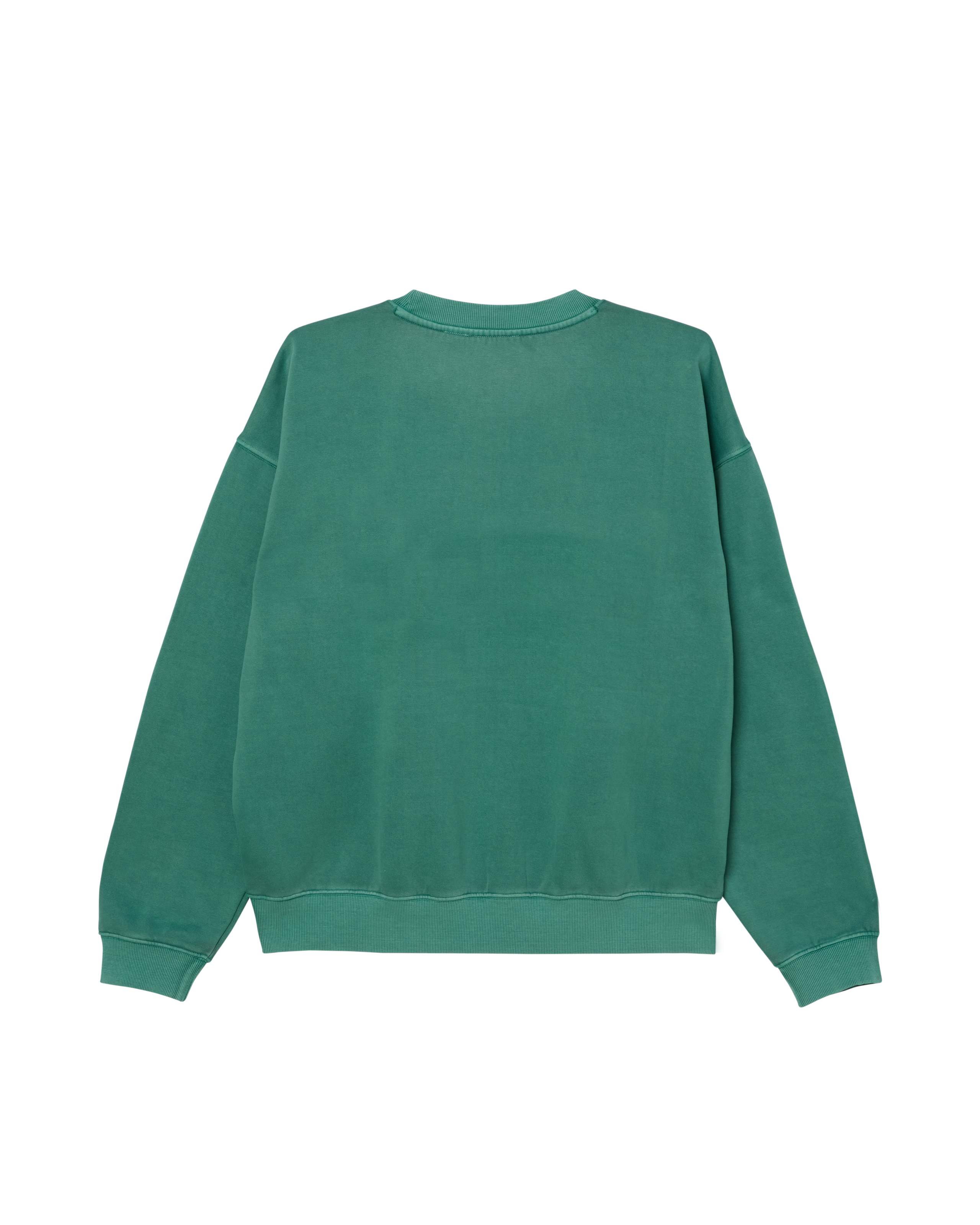 COLLEGIATE PIGMENT CREWNECK (zoomed)